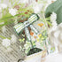 Detailed shot of green bow and golden stars design from Lucky Clover PET Tape under soft light - Miouva